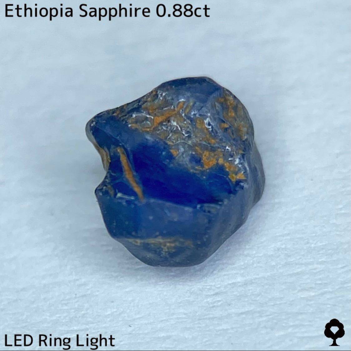 Cornflower Blue Sapphire 0.369ct / Ethiopia