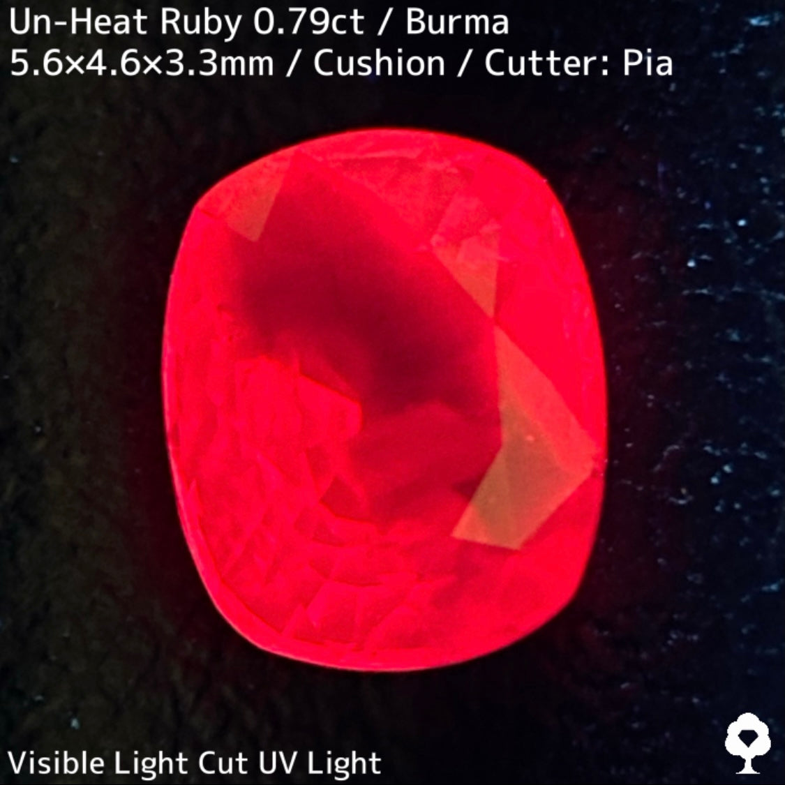 Burmese unheated ruby 0.79ct ★ Batman ruby with a beautiful crystal covered by a bat