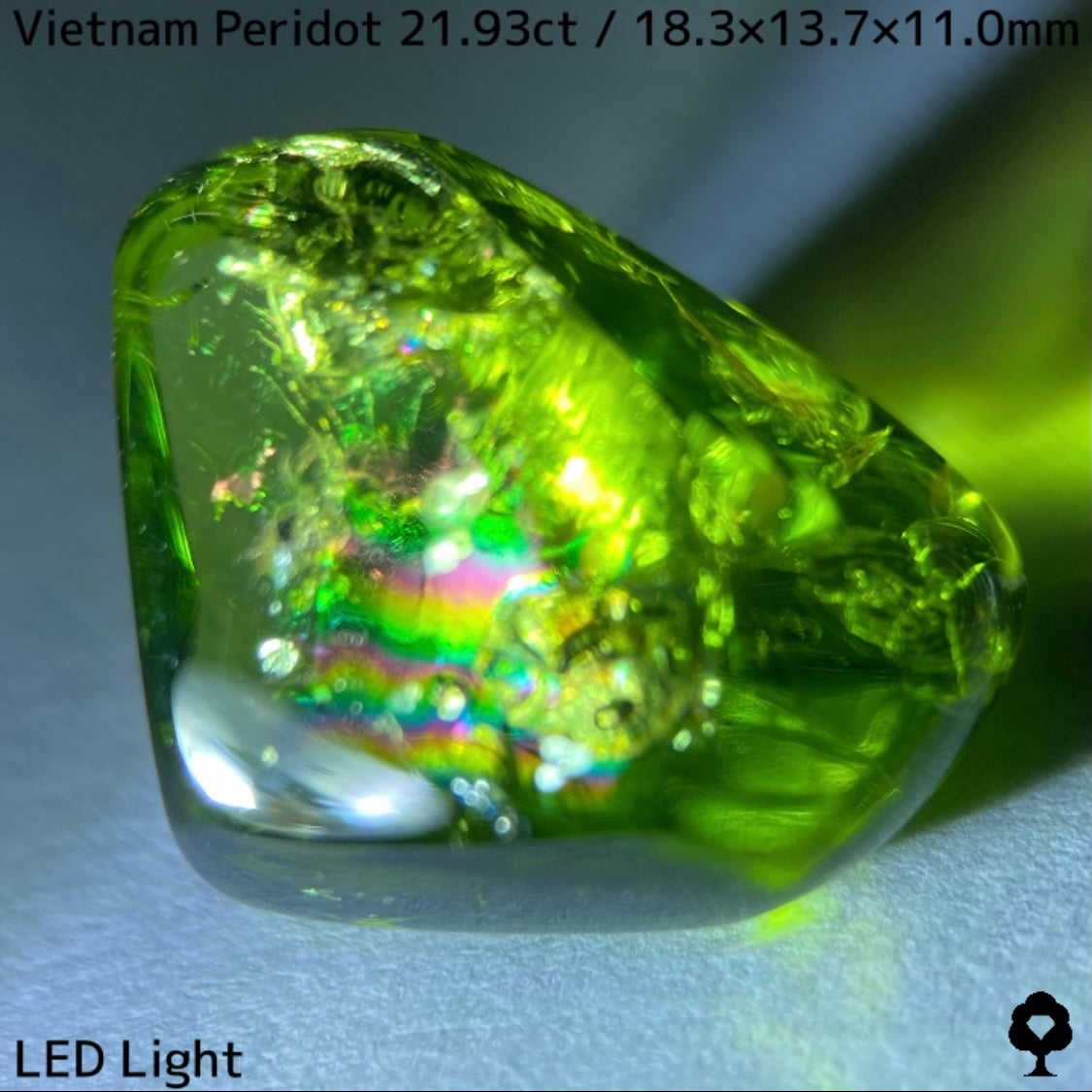 Peridot 21.93ct / Vietnam / Rough stone