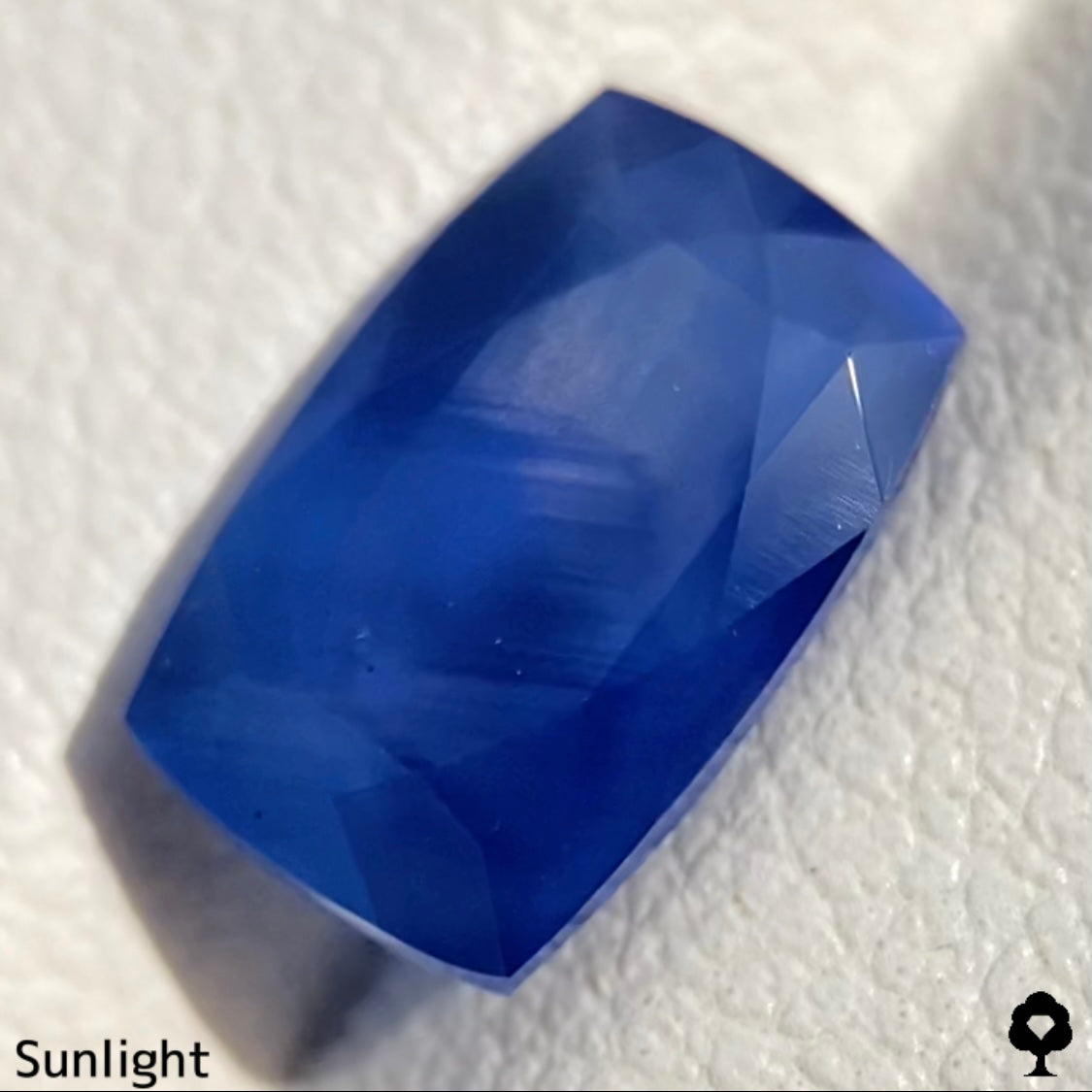Unheated Sapphire 2.675ct / Burma