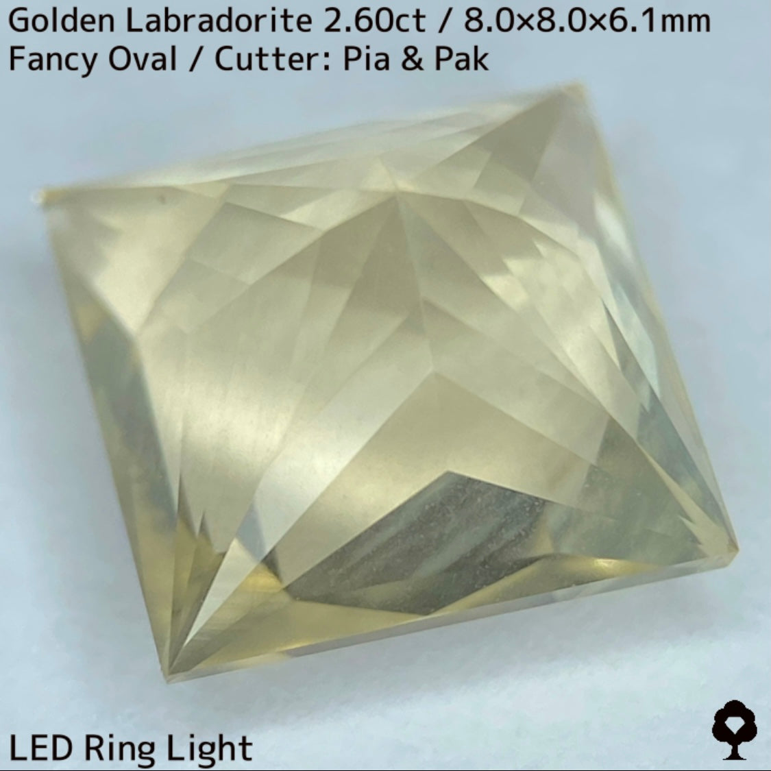 Golden Labradorite 2.60ct / Sri Lanka
