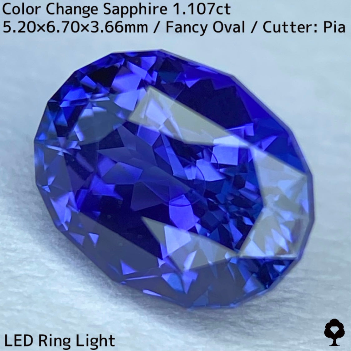 Tanzania color change sapphire 1.107ct ★ Beautiful color change multicolor crystal with a mix of blue, purple, and greenish blue