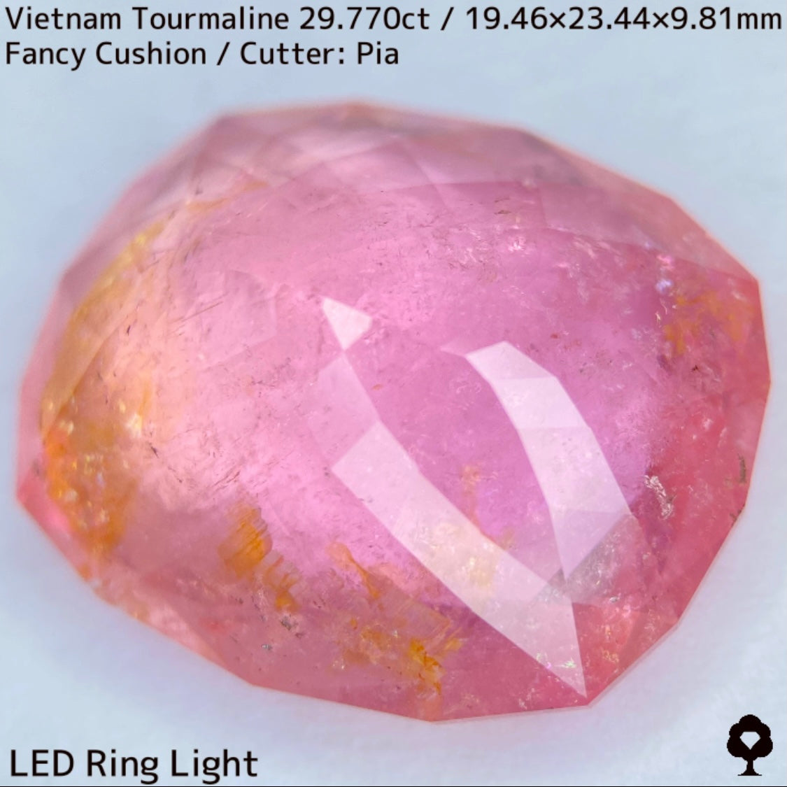 Tourmaline 29.770ct / Vietnam