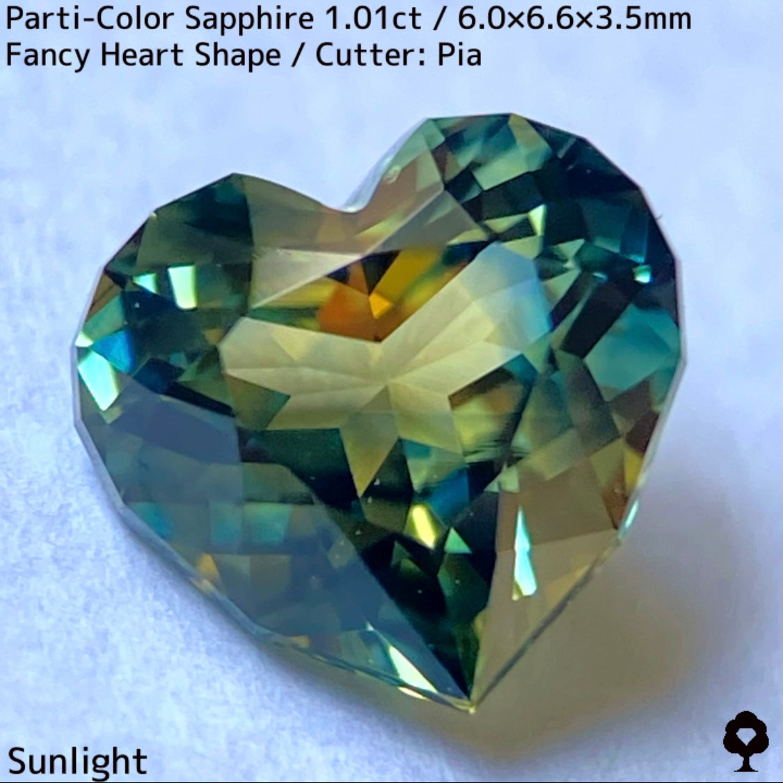 1.01ct Thai parti-colored sapphire ★ A rare fancy heart shape with a party feel that is typical of Bangkacha