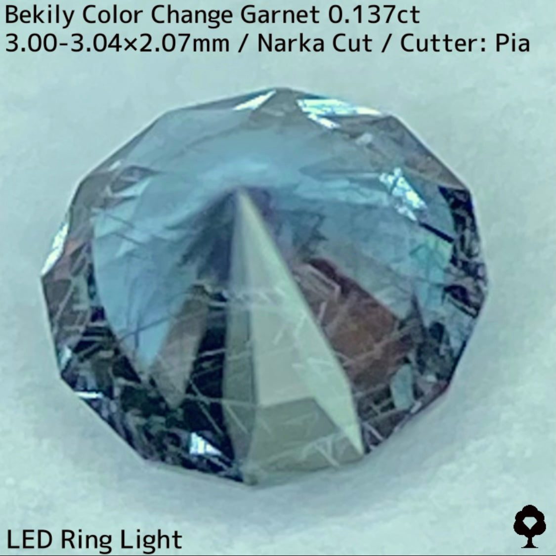 Color Change Garnet 0.137ct / Bekily(Madagascar)