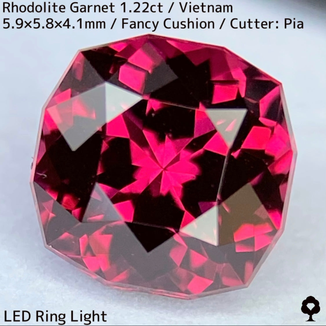 Rhodolite Garnet 1.22ct / Vietnam