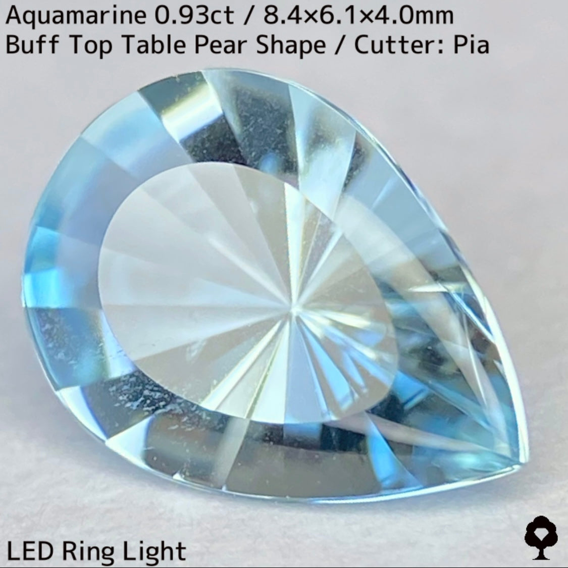 Aquamarine 0.93ct / Madagascar