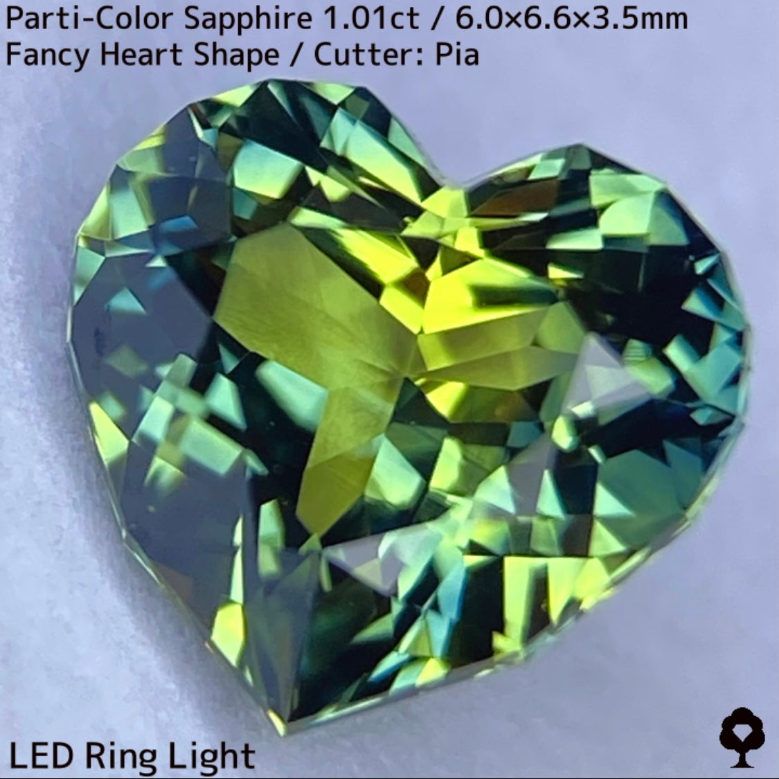 1.01ct Thai parti-colored sapphire ★ A rare fancy heart shape with a party feel that is typical of Bangkacha