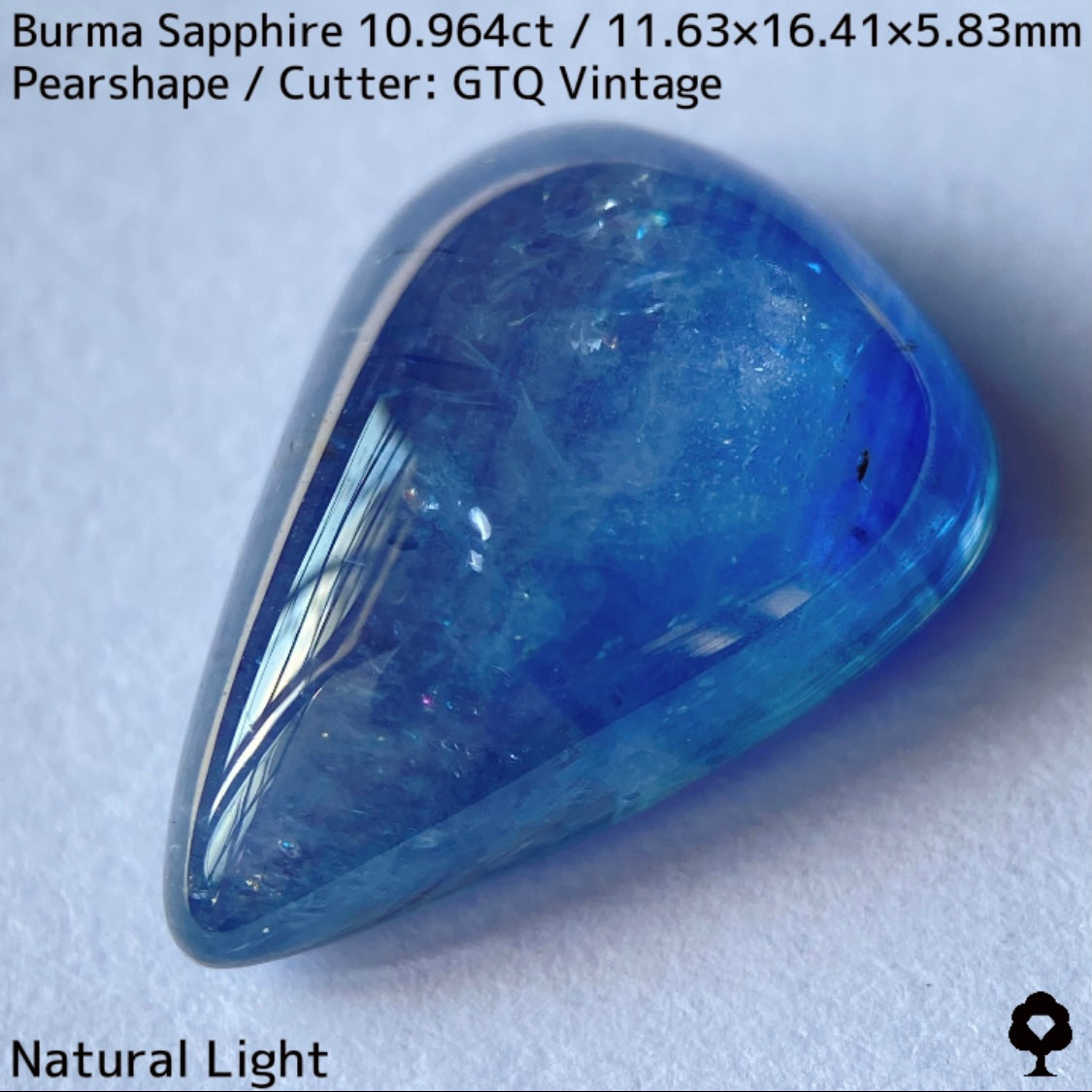 Sapphire 10.964ct / Burma / Cabochon
