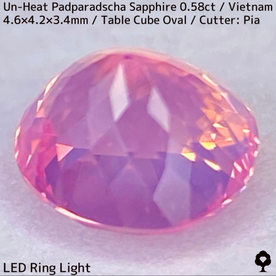 Un-Heat Padparadscha Sapphire 0.58ct / Vietnam