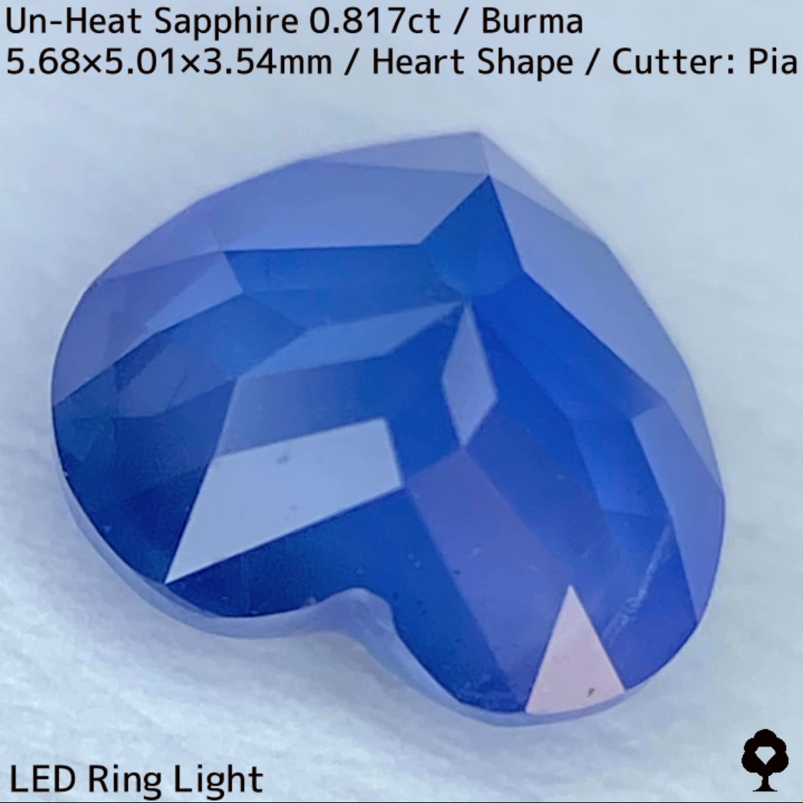 Un-Heat Sapphire 0.817ct / Burma
