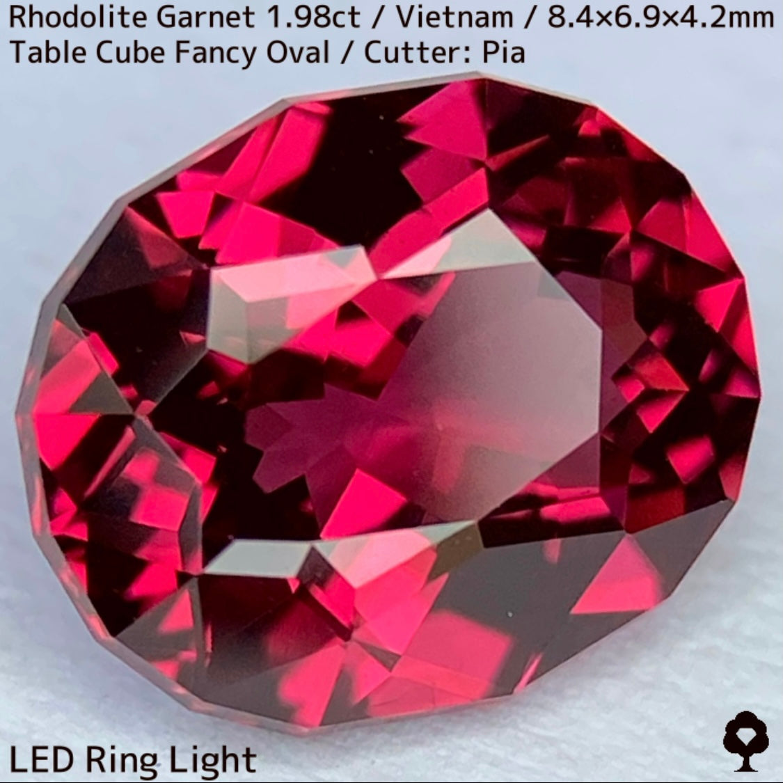 Rhodorite Garnet 1.990ct / Vietnam