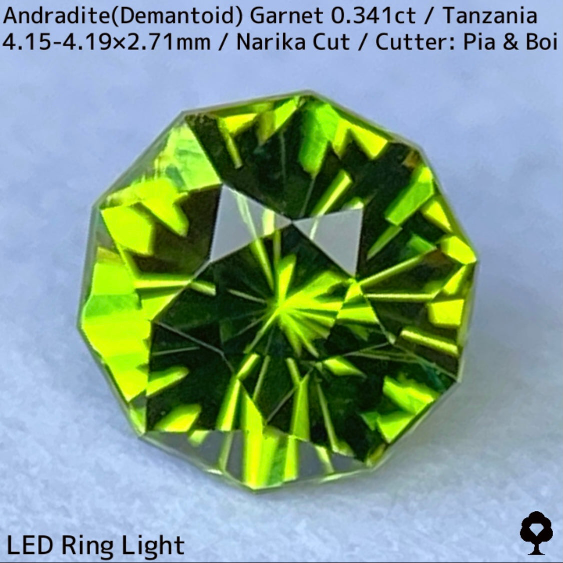 Andoradaite (Demantoid) 0.341ct/Tanzania/Narika