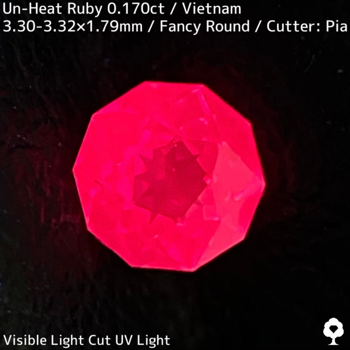 Un-Heat Ruby 0.170ct / Vietnam