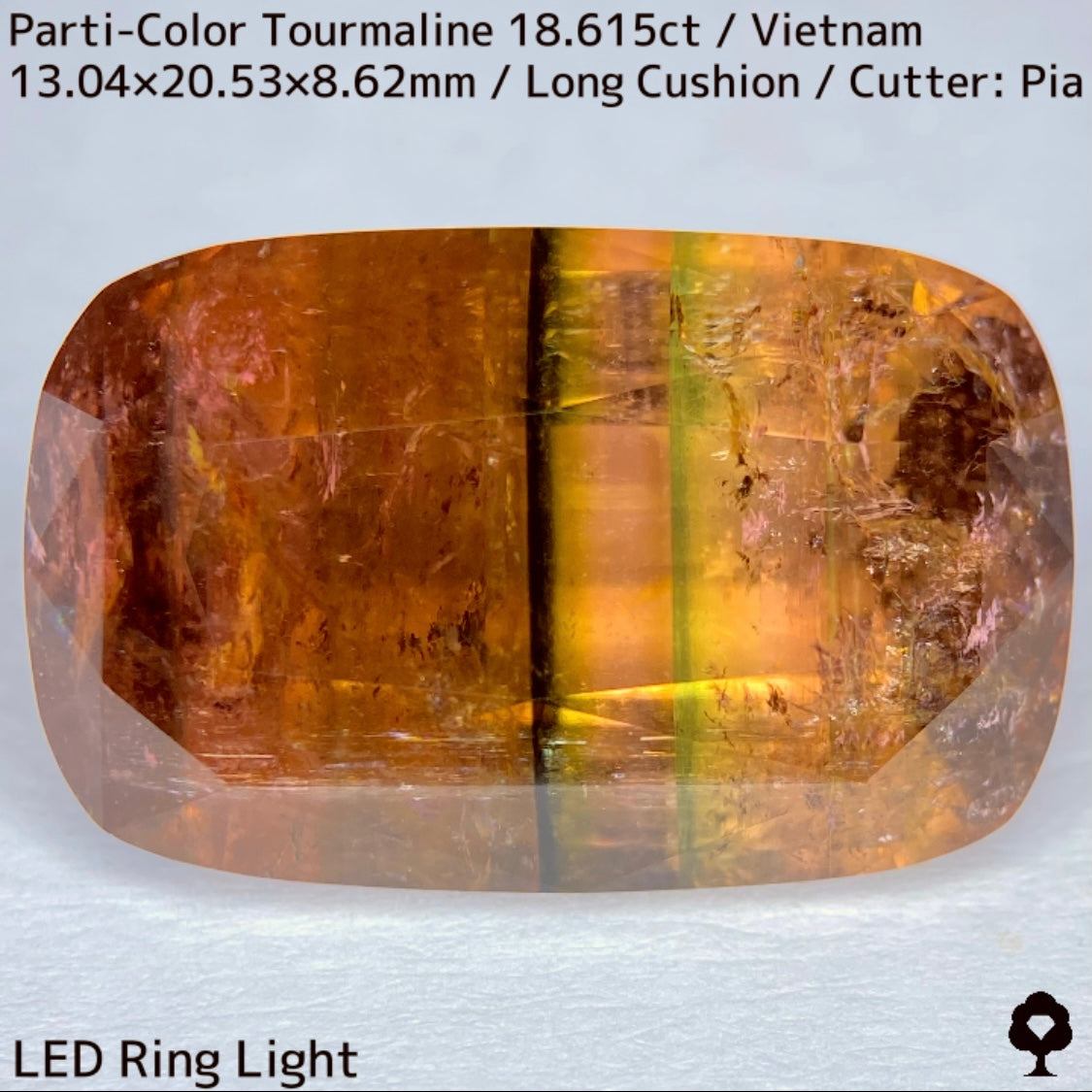 Parti-Color Tourmaline 18.615ct / Vietnam / Long Cushion