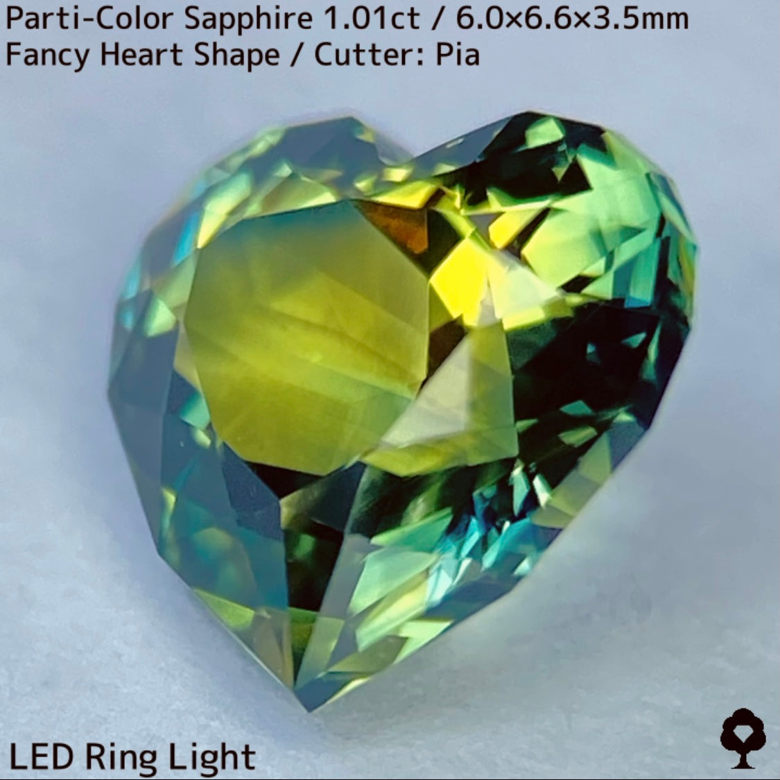 1.01ct Thai parti-colored sapphire ★ A rare fancy heart shape with a party feel that is typical of Bangkacha