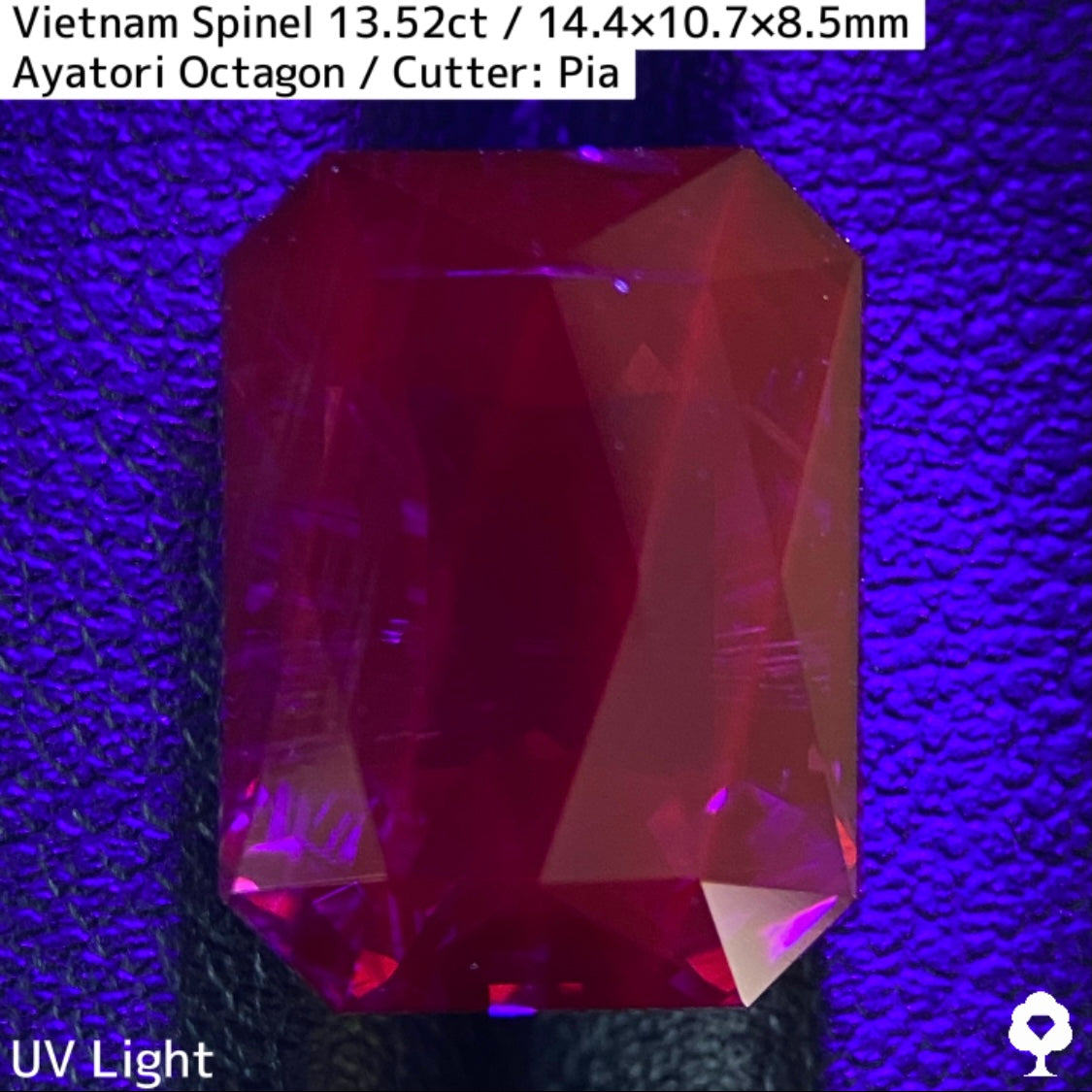Spinel 13.52ct / Vietnam / Ayatori