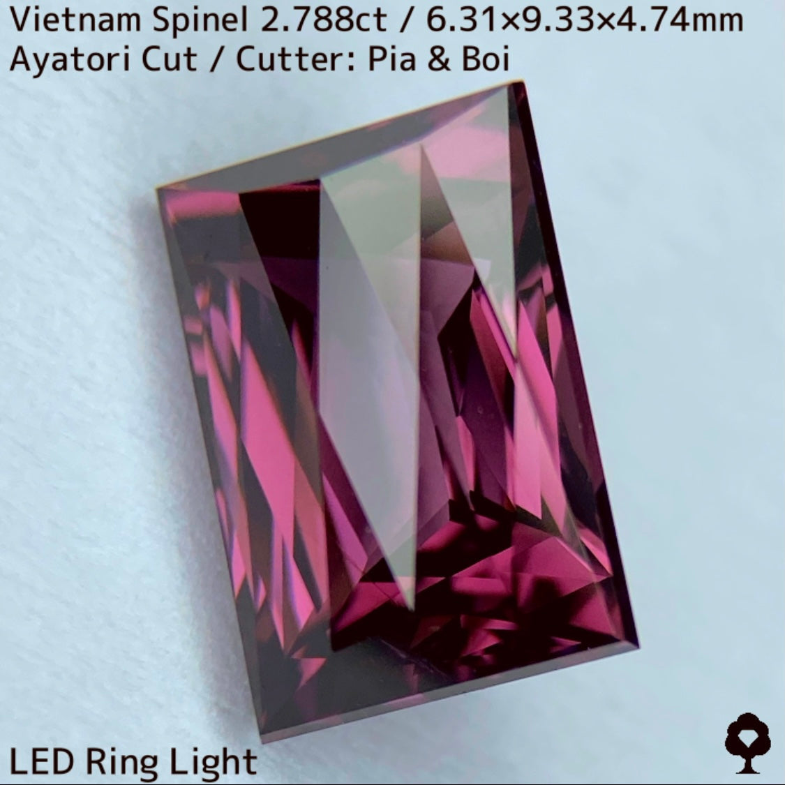 Spinel 2.788ct / Vietnam