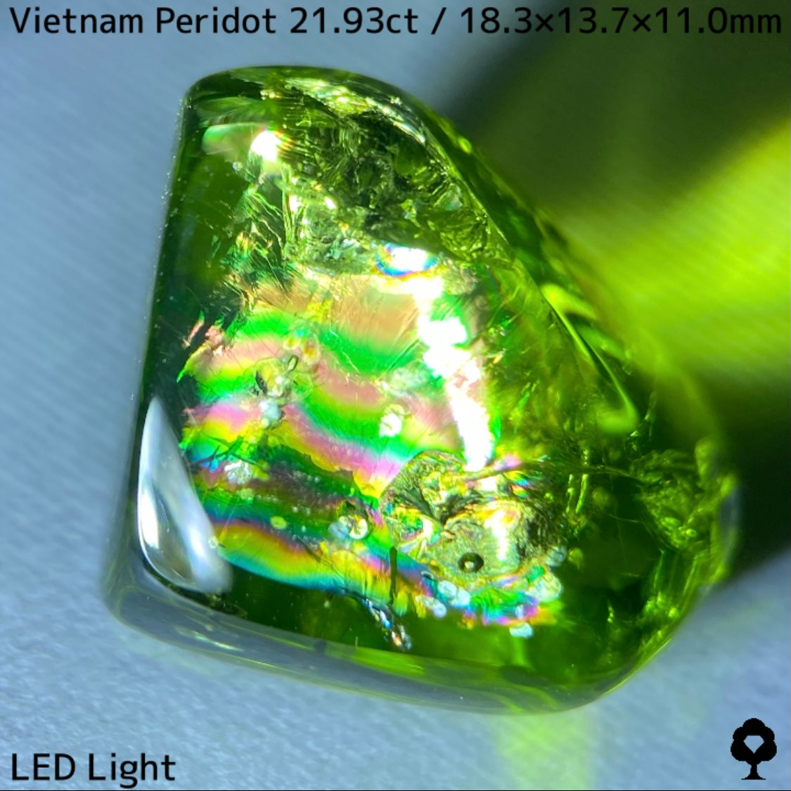 Peridot 21.93ct / Vietnam / Rough stone