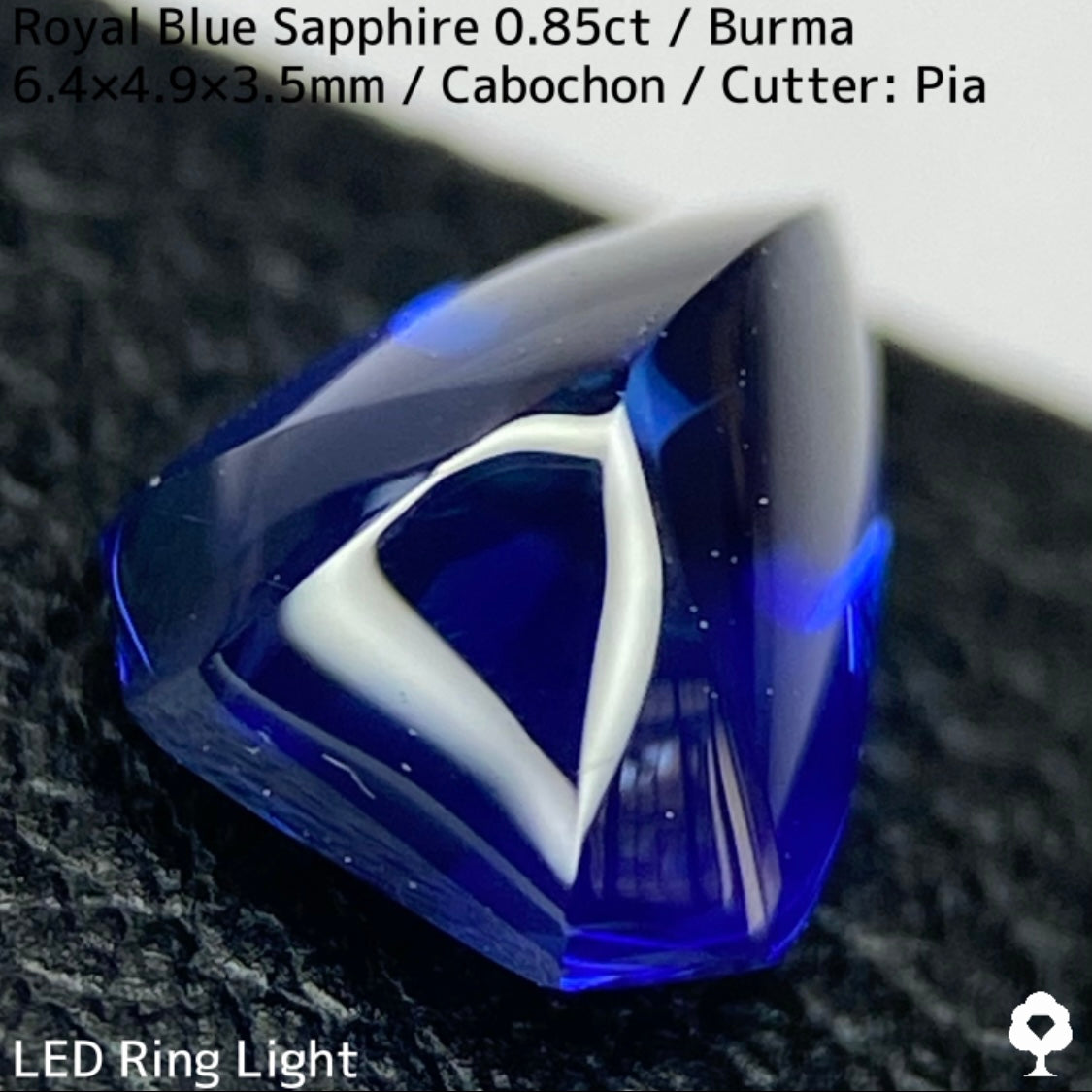 Royal Blue Sapphire 0.864ct / Burma / Reversible Sugarloaf Cabochon