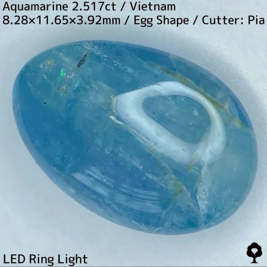 Aquamarine 2.517ct / Vietnam