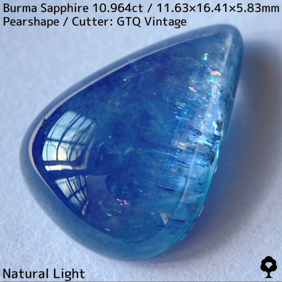 Sapphire 10.964ct / Burma / Cabochon