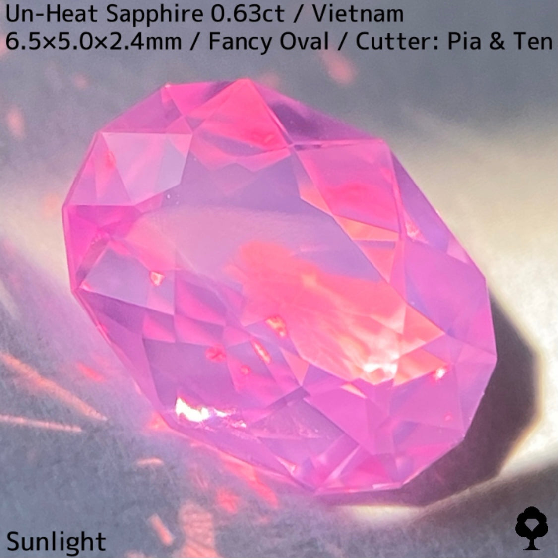 Un-Heat Sapphire 0.63ct / Vietnam