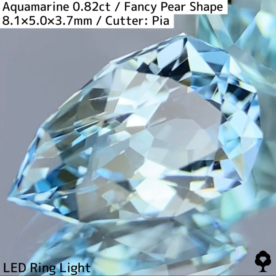 Aquamarine 0.82ct / Madagascar