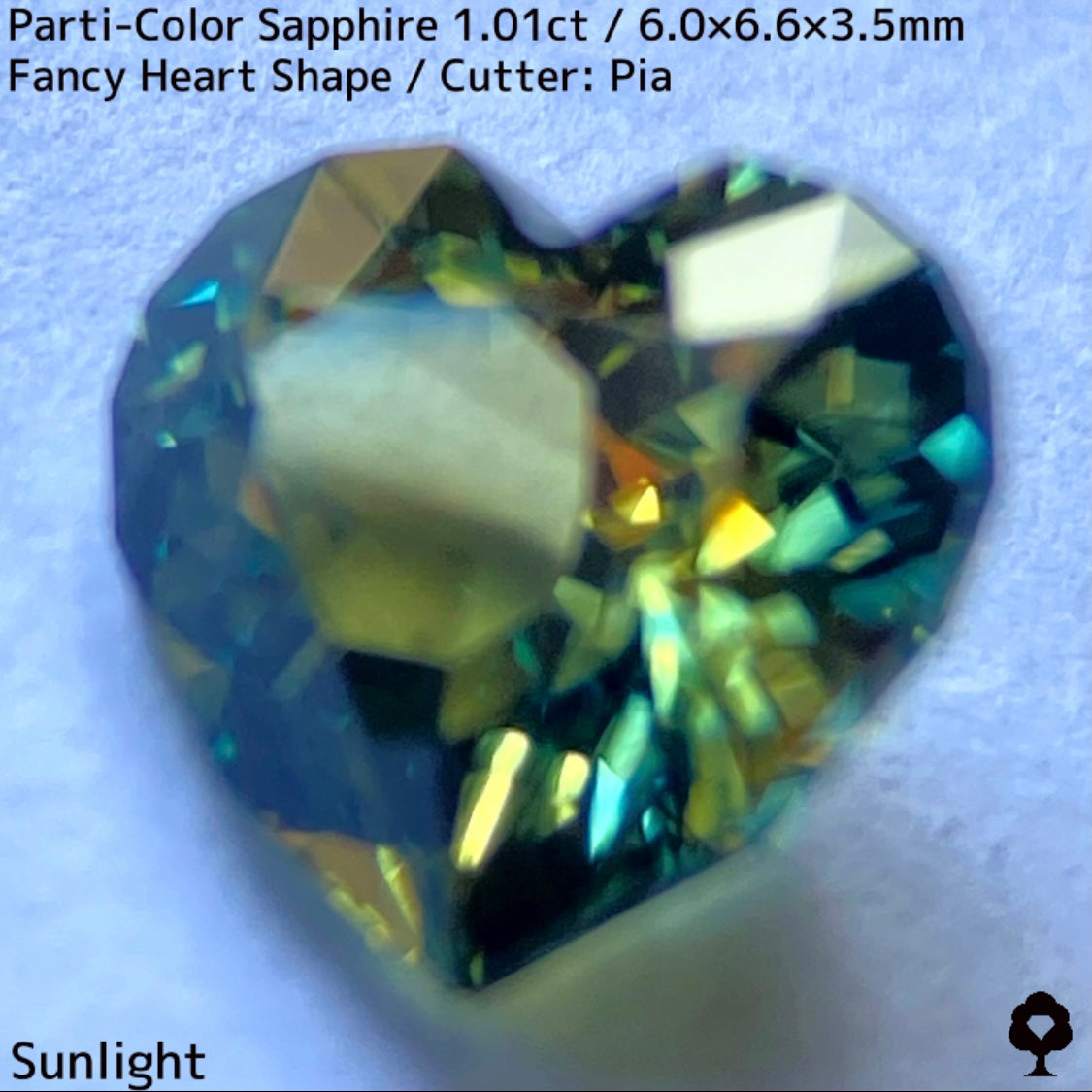 1.01ct Thai parti-colored sapphire ★ A rare fancy heart shape with a party feel that is typical of Bangkacha