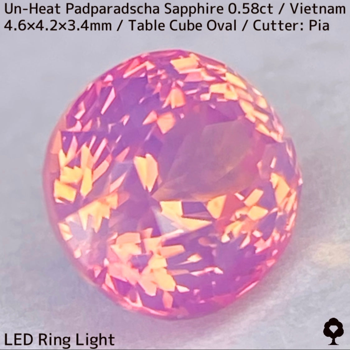 Un-Heat Padparadscha Sapphire 0.58ct / Vietnam