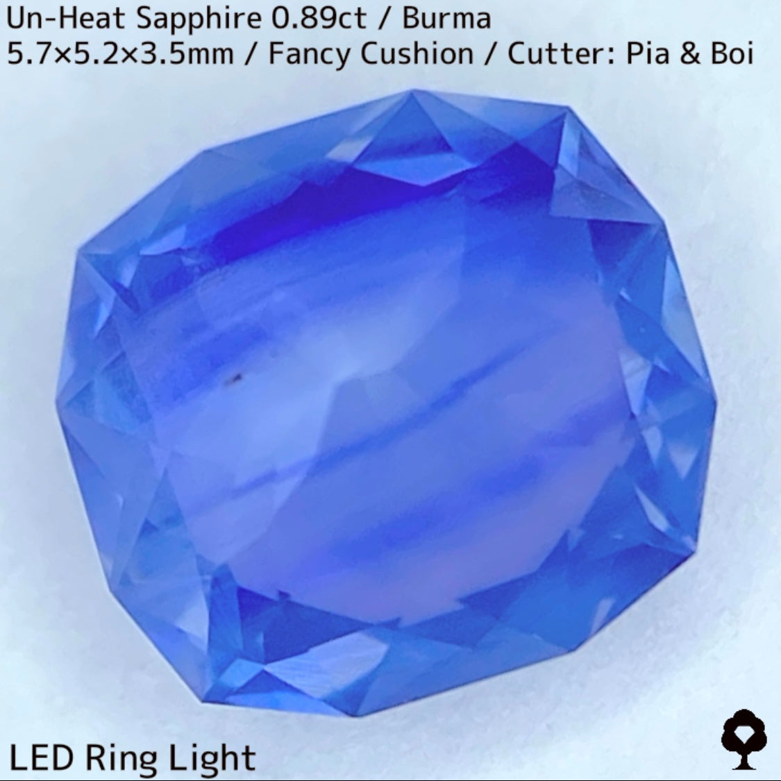 Un-Heat Sapphire 0.896ct / Burma