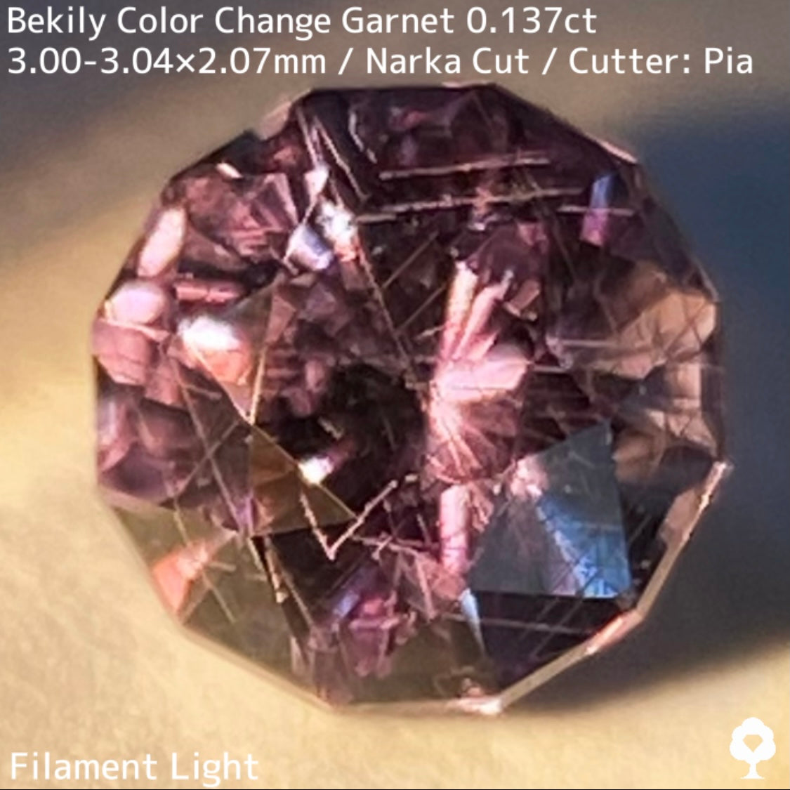 Color Change Garnet 0.137ct / Bekily(Madagascar)