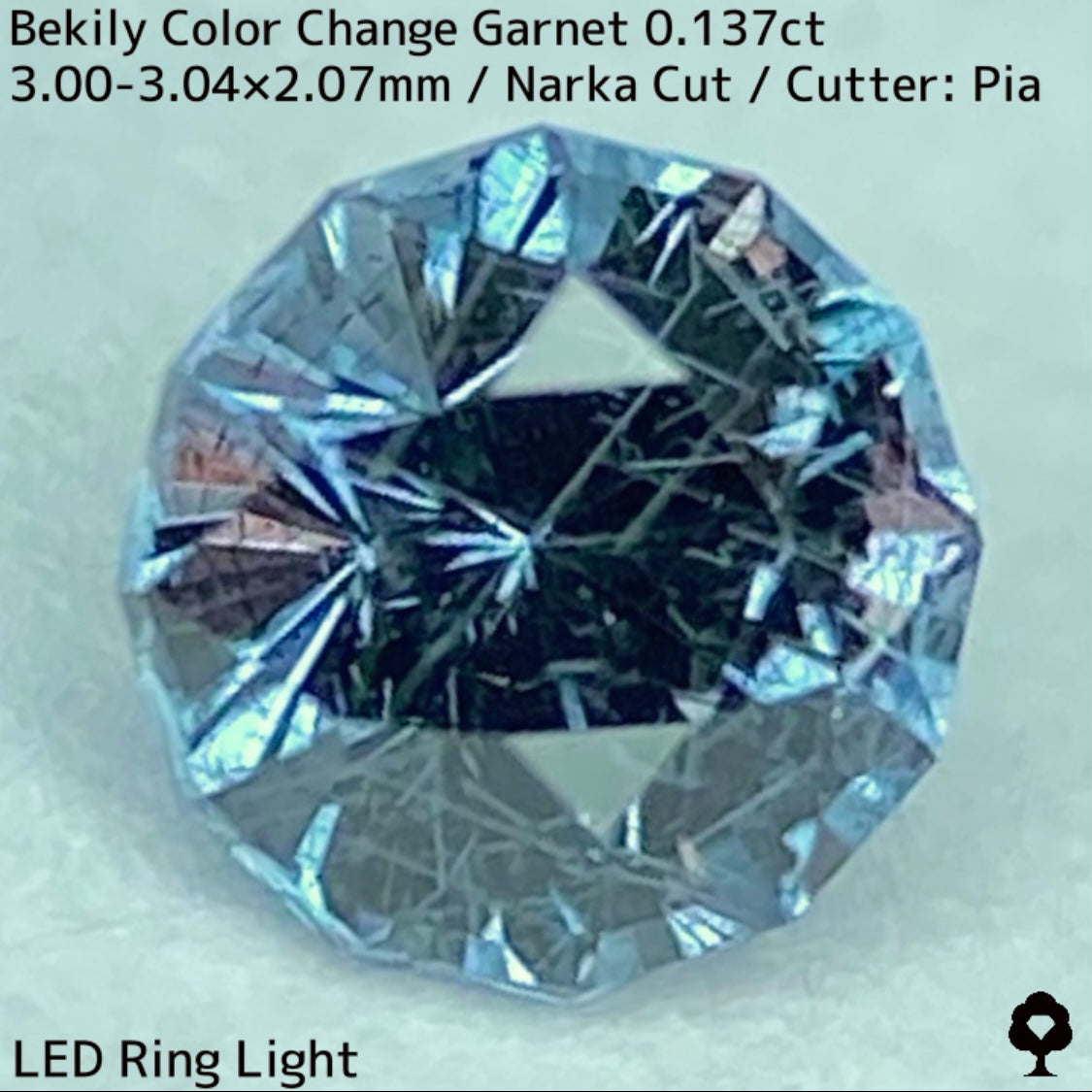 Color Change Garnet 0.137ct / Bekily(Madagascar)