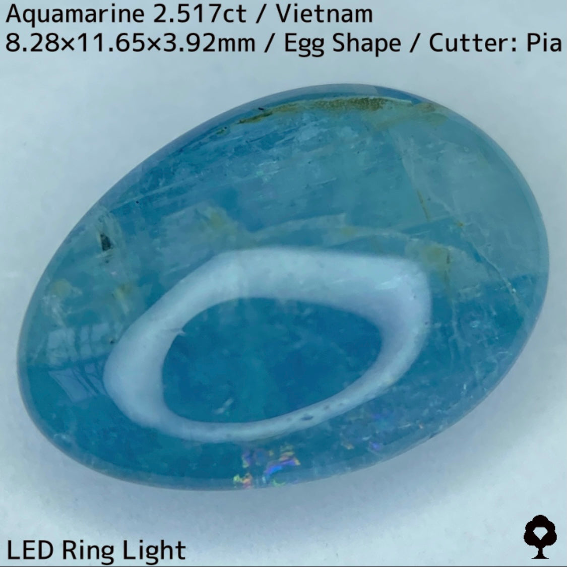 Aquamarine 2.517ct / Vietnam