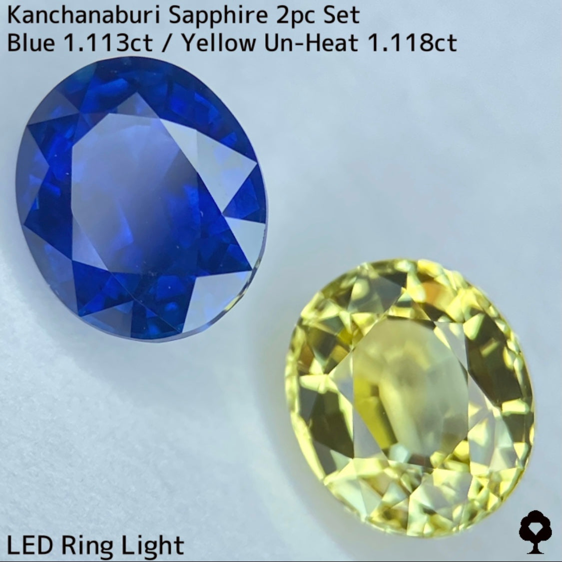 Kanchanaburi Sapphire 2Pc 2.231ct