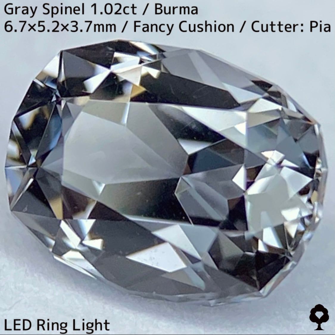 Grey Spinel 1.024ct / Burma