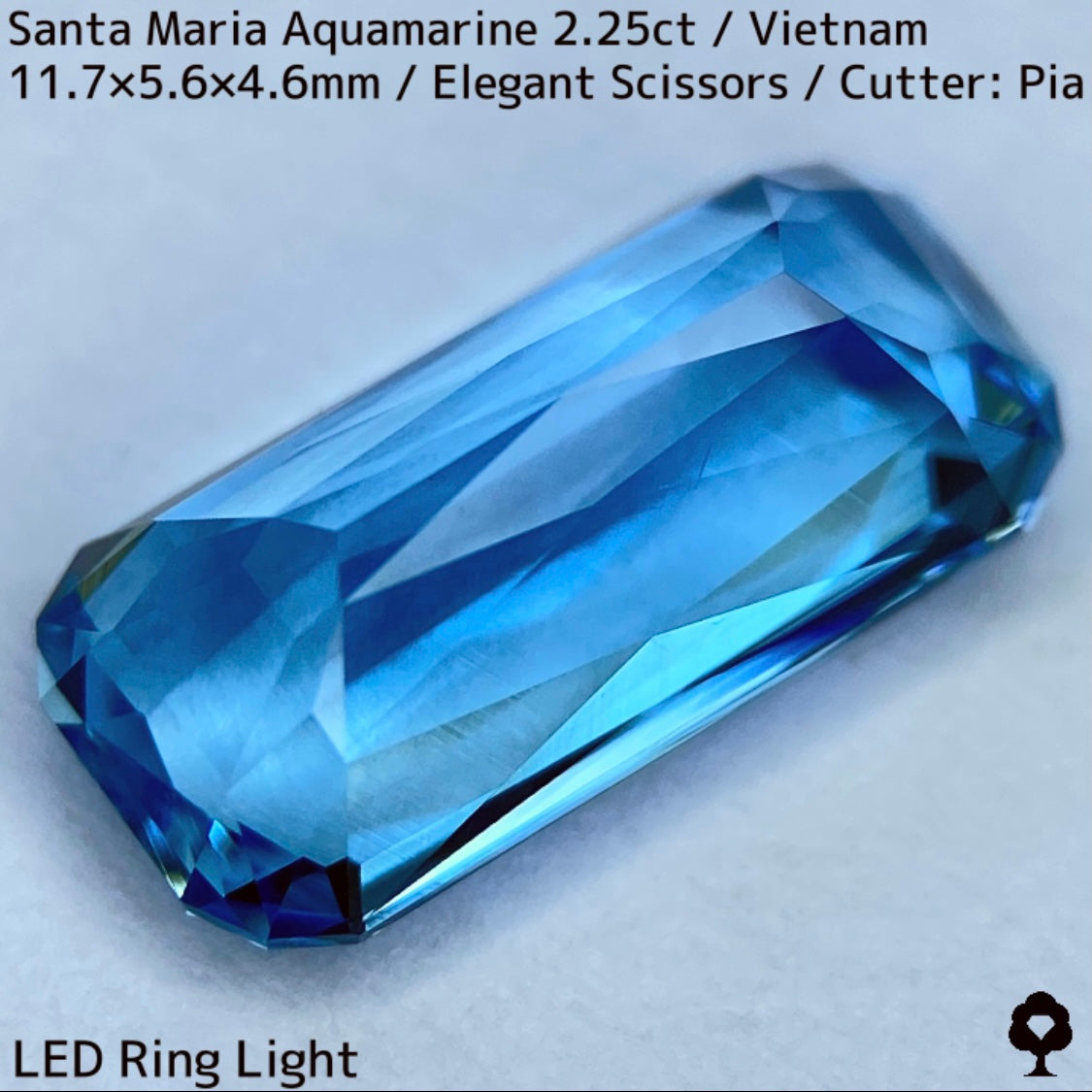 Santa Maria Aquamarine 2.25ct / Vietnam