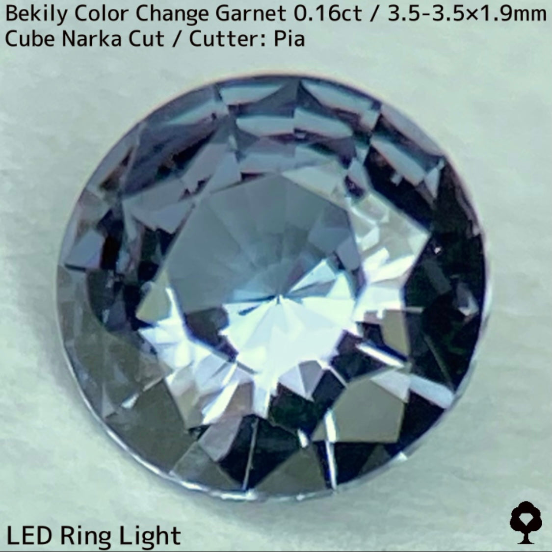 Color Change Garnet 0.161ct / Bekily(Madagascar)
