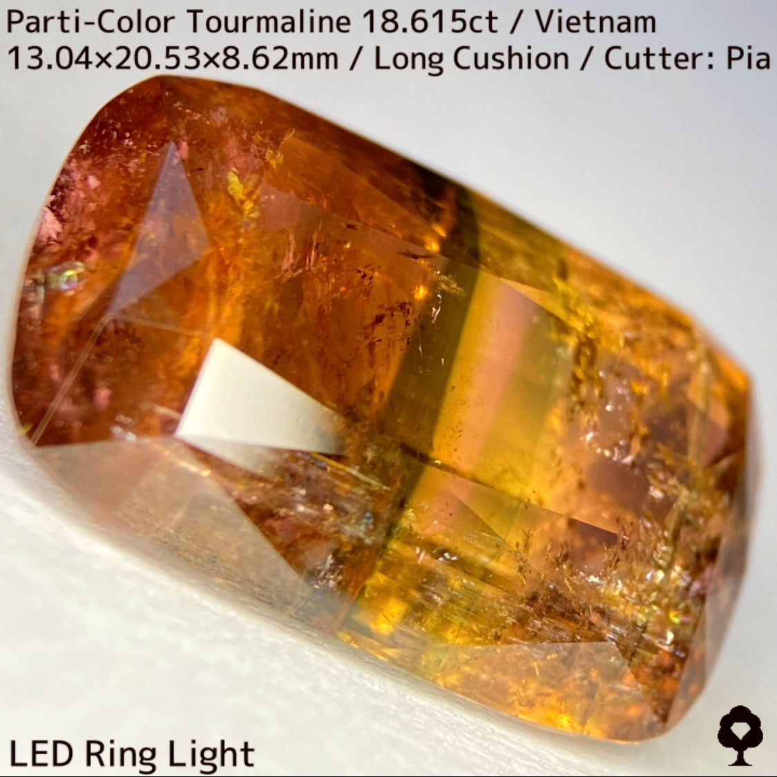 Parti-Color Tourmaline 18.615ct / Vietnam / Long Cushion