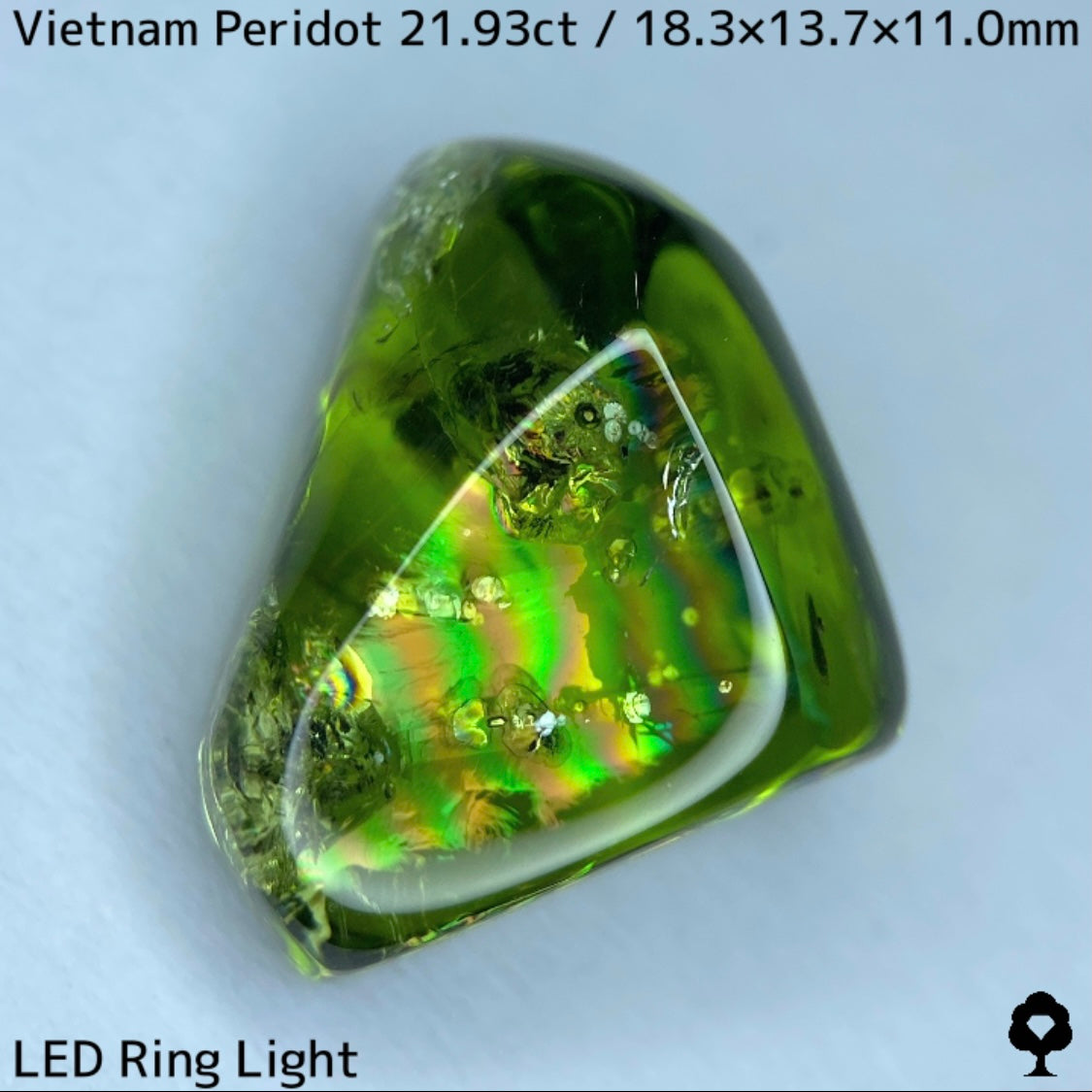Peridot 21.93ct / Vietnam / Rough stone