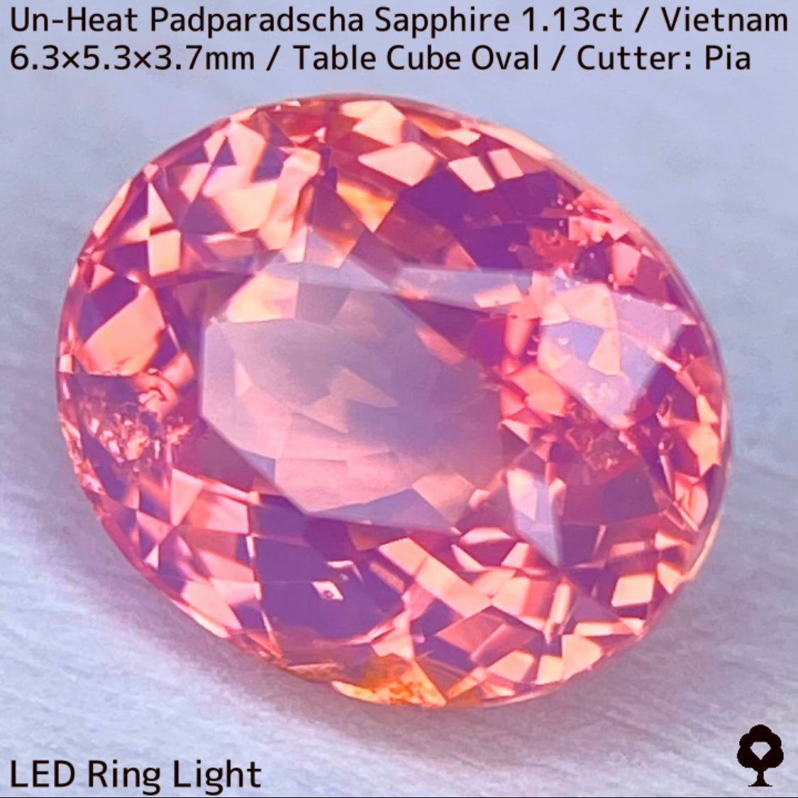 Un-Heat Padparadscha Sapphire 1.136ct / Vietnam