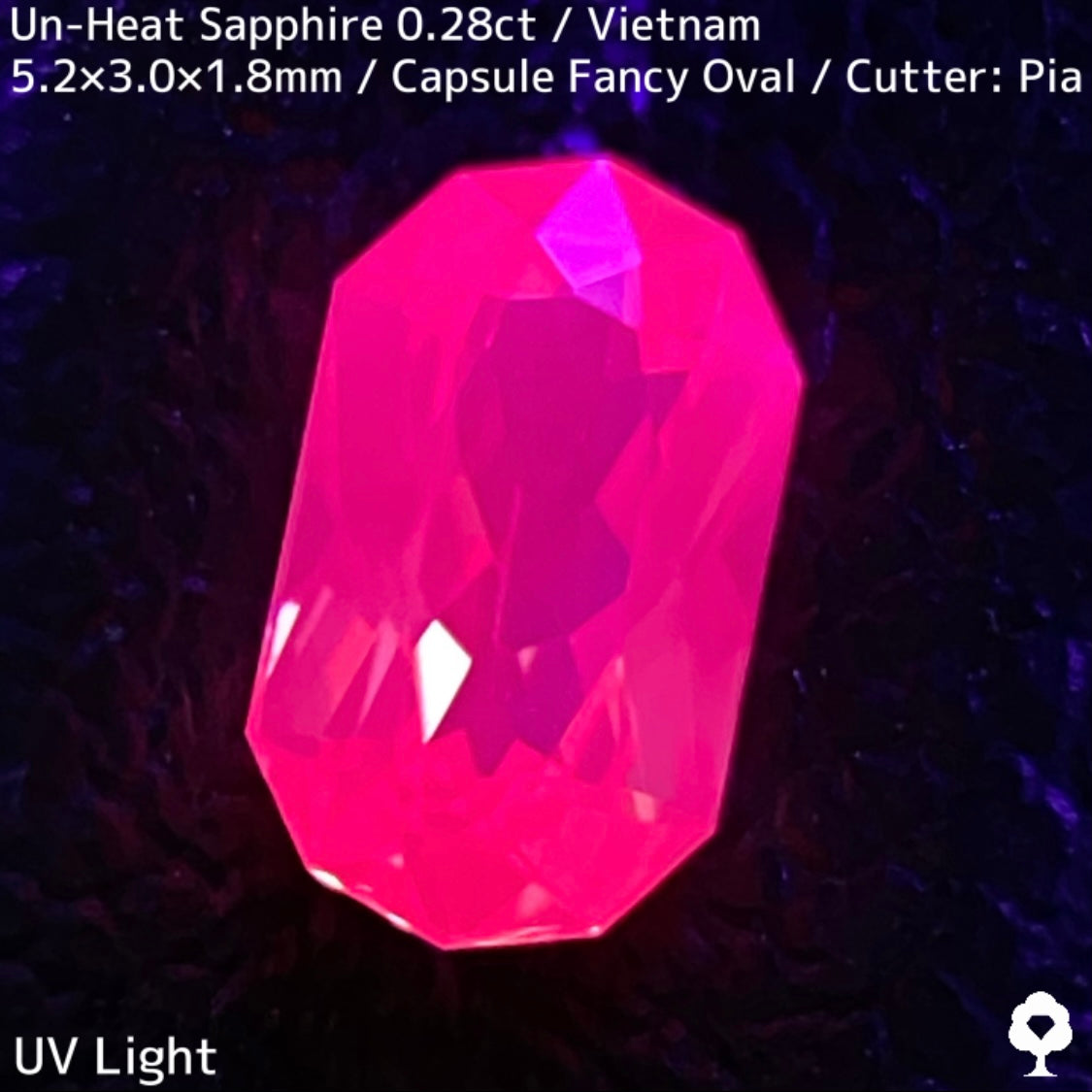 0.286ct unheated Vietnamese sapphire ★ From the silky pink that is synonymous with Vietnamese sapphires to a neon gold sparkle