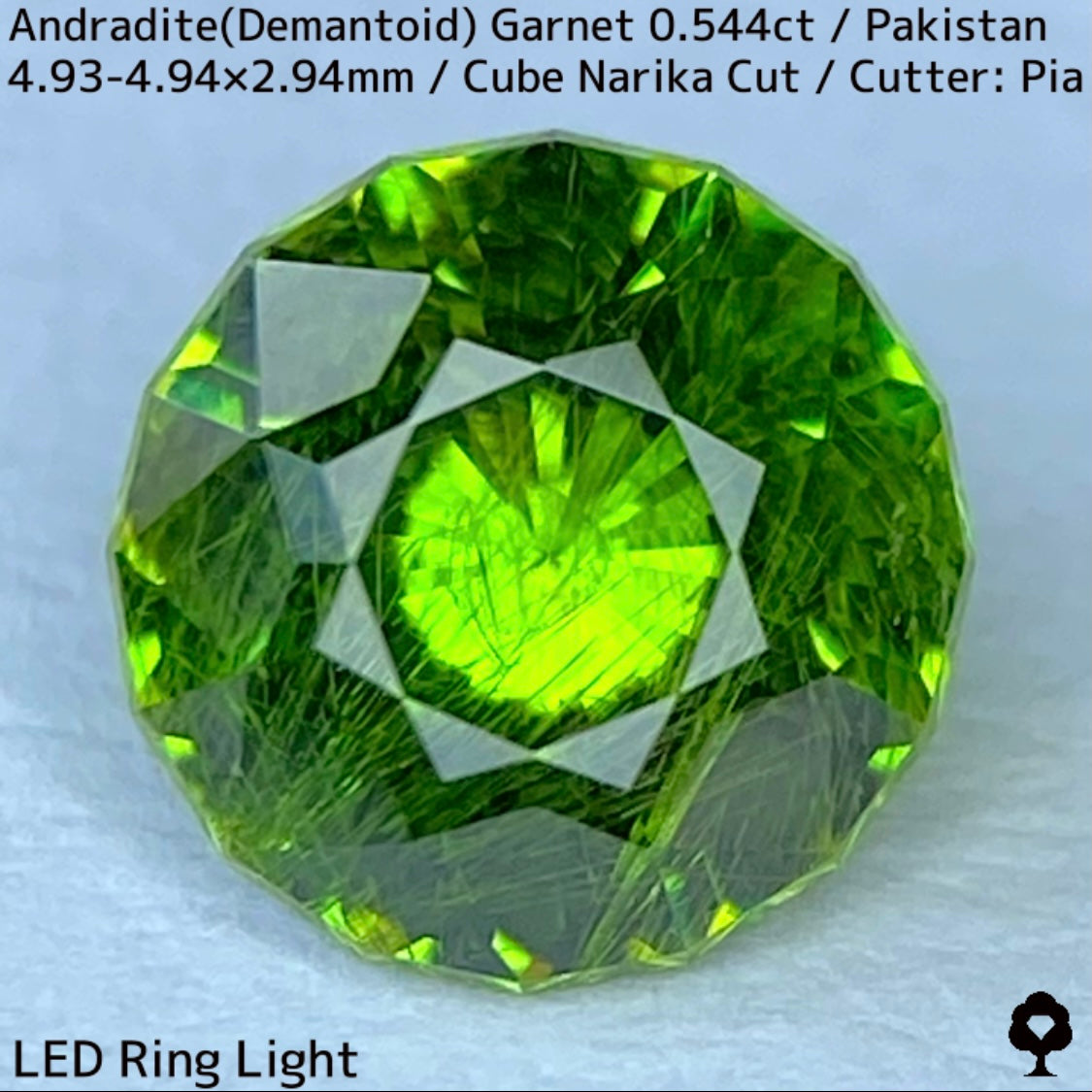 Andradite(Demantoid)0.544ct / Pakistan / Table cube Narika
