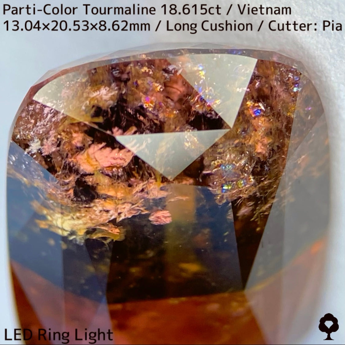 Parti-Color Tourmaline 18.615ct / Vietnam / Long Cushion