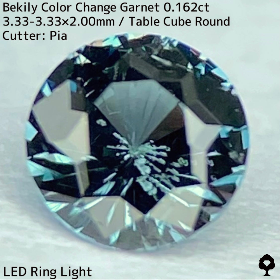 Color Change Garnet 0.162ct / Bekily(Madagascar)