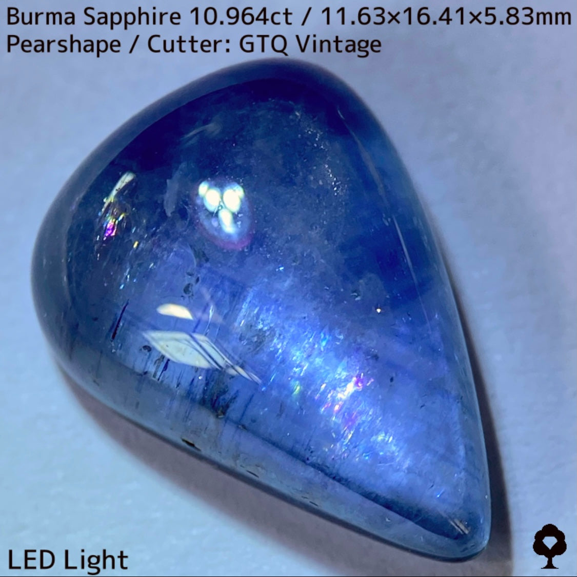 Sapphire 10.964ct / Burma / Cabochon