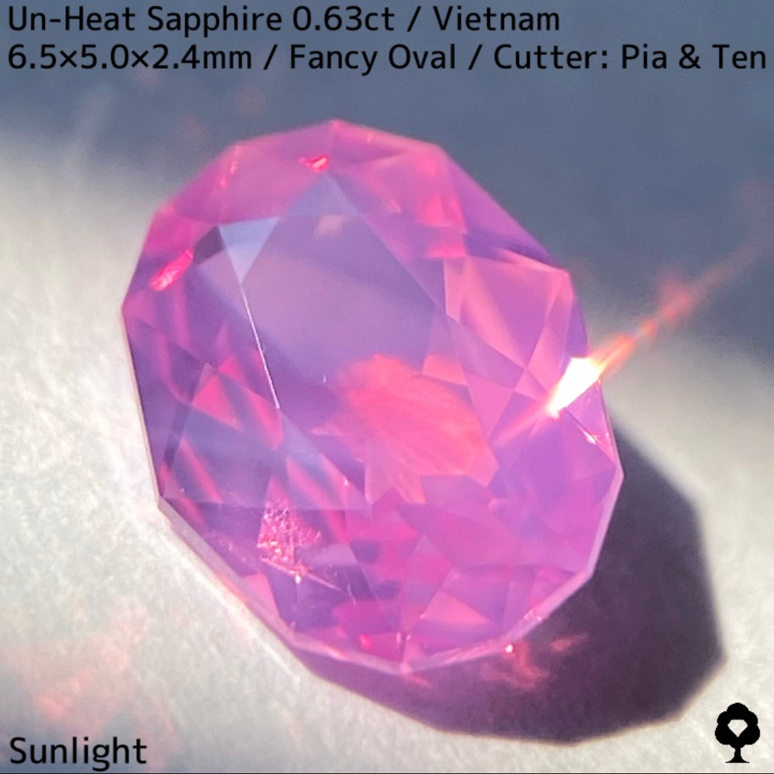 Un-Heat Sapphire 0.63ct / Vietnam