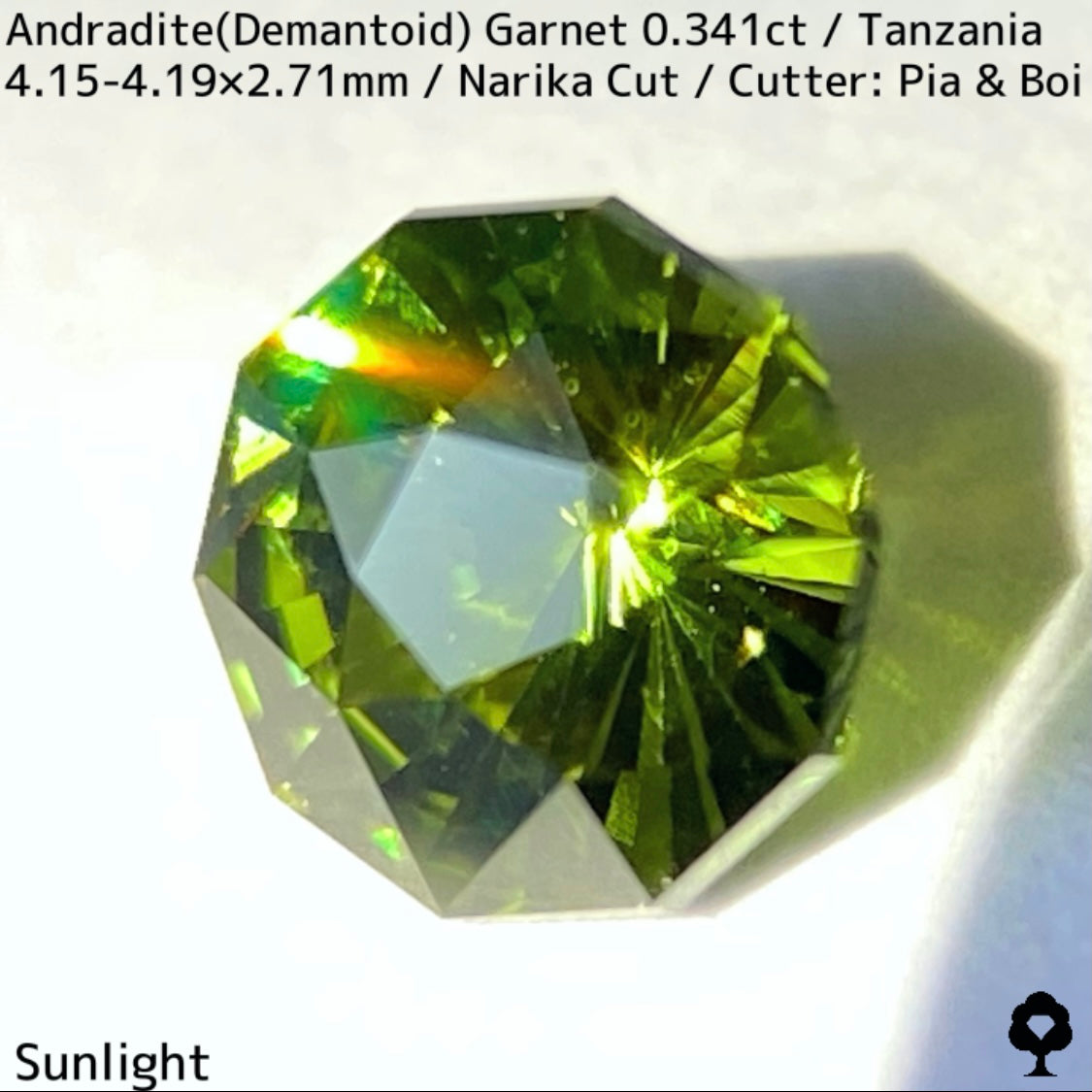 Andoradaite(Demantoid)0.341ct / Tanzania / Narika