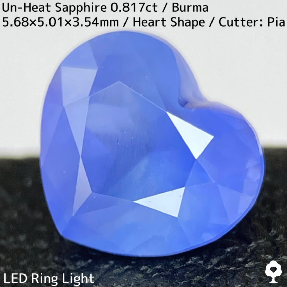 Un-Heat Sapphire 0.817ct / Burma
