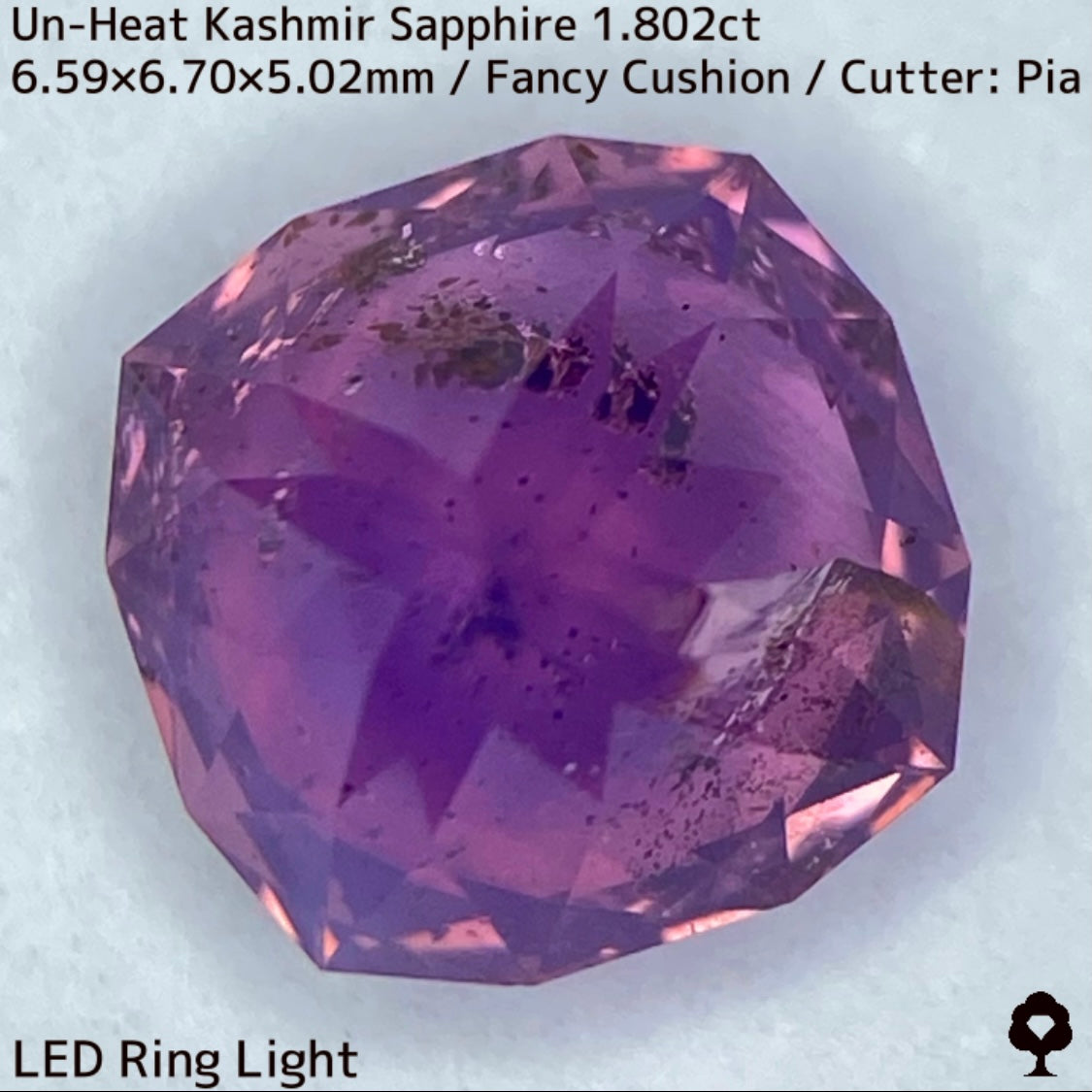 Unheated Kashmir sapphire from Pakistan 1.802ct ★ Enjoy this rare Kashmir masterpiece in a variety of light sources